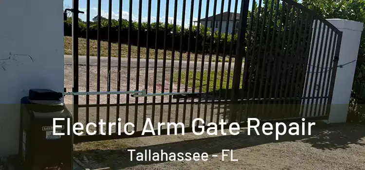 Electric Arm Gate Repair Tallahassee - FL