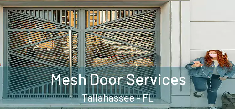 Mesh Door Services Tallahassee - FL
