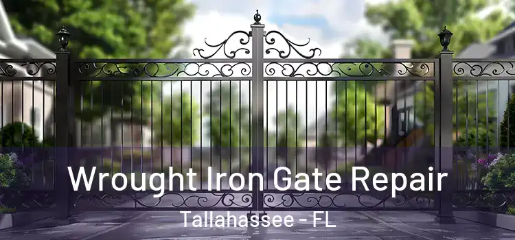 Wrought Iron Gate Repair Tallahassee - FL